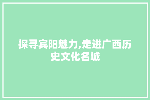 探寻宾阳魅力,走进广西历史文化名城