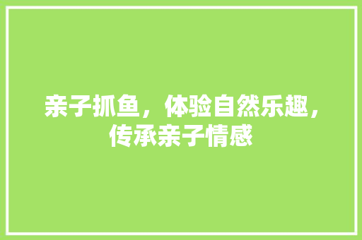 亲子抓鱼，体验自然乐趣，传承亲子情感  第1张