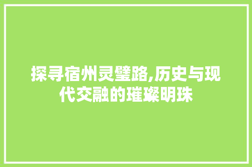 探寻宿州灵璧路,历史与现代交融的璀璨明珠