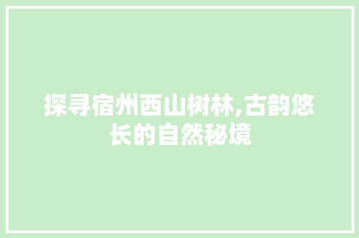 探寻宿州西山树林,古韵悠长的自然秘境