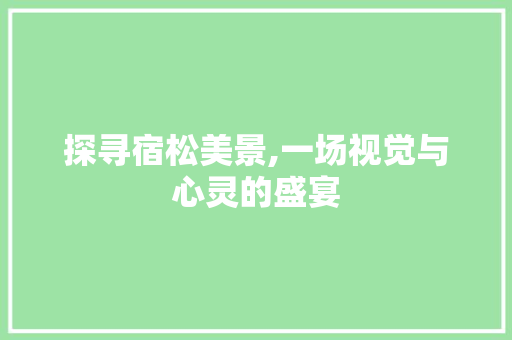 探寻宿松美景,一场视觉与心灵的盛宴