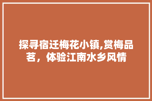 探寻宿迁梅花小镇,赏梅品茗，体验江南水乡风情