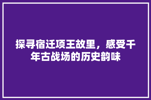 探寻宿迁项王故里，感受千年古战场的历史韵味