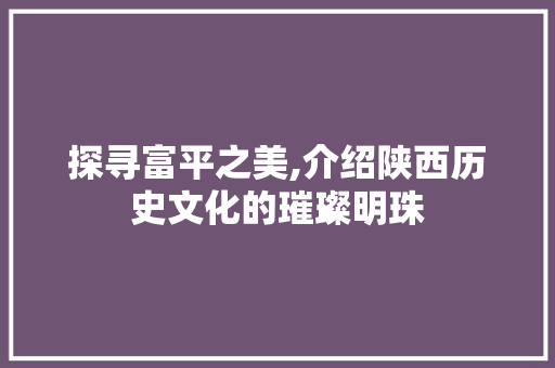 探寻富平之美,介绍陕西历史文化的璀璨明珠