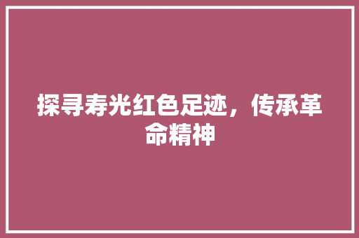 探寻寿光红色足迹，传承革命精神