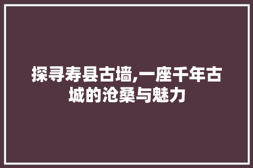 探寻寿县古墙,一座千年古城的沧桑与魅力