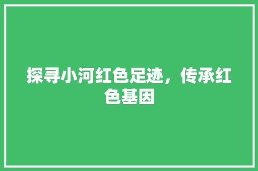 探寻小河红色足迹，传承红色基因