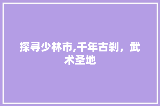 探寻少林市,千年古刹，武术圣地