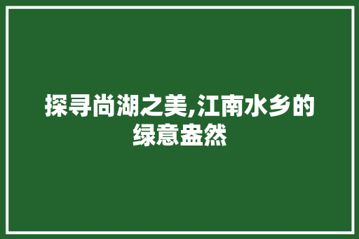 探寻尚湖之美,江南水乡的绿意盎然