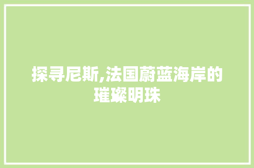 探寻尼斯,法国蔚蓝海岸的璀璨明珠