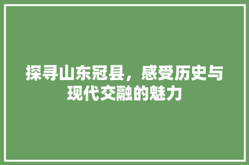 探寻山东冠县，感受历史与现代交融的魅力