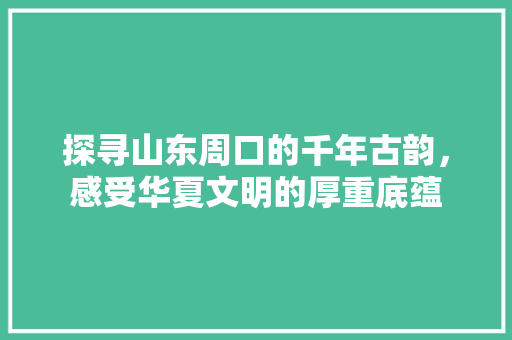 探寻山东周口的千年古韵，感受华夏文明的厚重底蕴