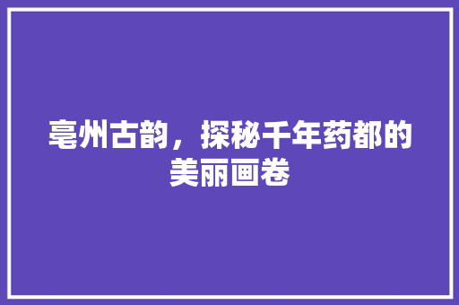 亳州古韵，探秘千年药都的美丽画卷