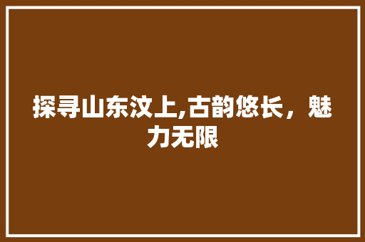 探寻山东汶上,古韵悠长，魅力无限