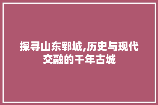 探寻山东郓城,历史与现代交融的千年古城