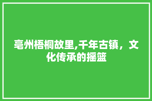 亳州梧桐故里,千年古镇，文化传承的摇篮