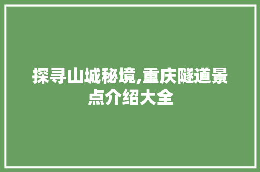 探寻山城秘境,重庆隧道景点介绍大全