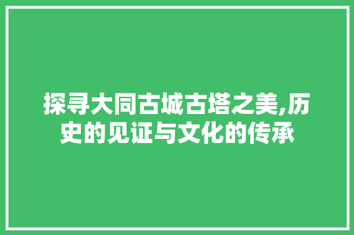 探寻大同古城古塔之美,历史的见证与文化的传承