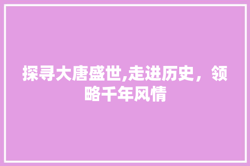 探寻大唐盛世,走进历史，领略千年风情