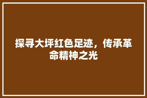 探寻大坪红色足迹，传承革命精神之光