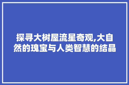 探寻大树屋流星奇观,大自然的瑰宝与人类智慧的结晶