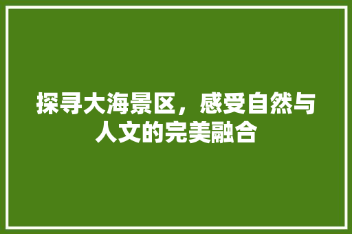 探寻大海景区，感受自然与人文的完美融合