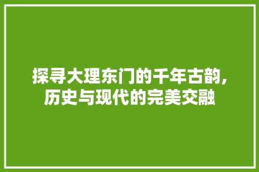 探寻大理东门的千年古韵,历史与现代的完美交融