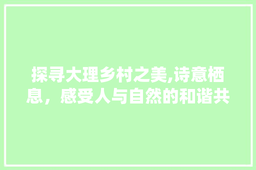 探寻大理乡村之美,诗意栖息，感受人与自然的和谐共鸣