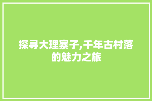 探寻大理寨子,千年古村落的魅力之旅