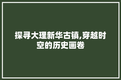 探寻大理新华古镇,穿越时空的历史画卷