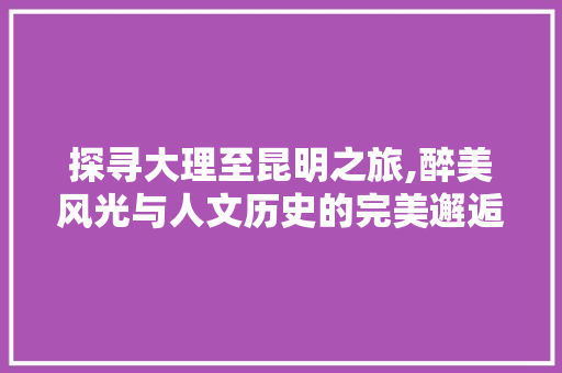 探寻大理至昆明之旅,醉美风光与人文历史的完美邂逅