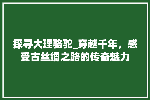 探寻大理骆驼_穿越千年，感受古丝绸之路的传奇魅力