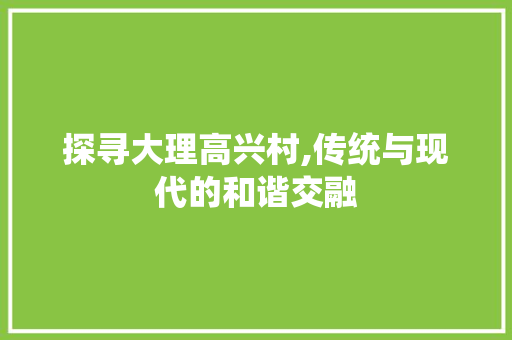 探寻大理高兴村,传统与现代的和谐交融