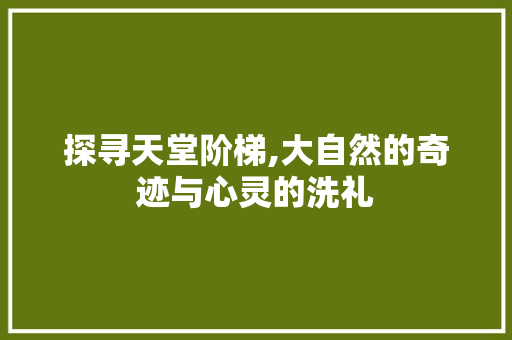 探寻天堂阶梯,大自然的奇迹与心灵的洗礼