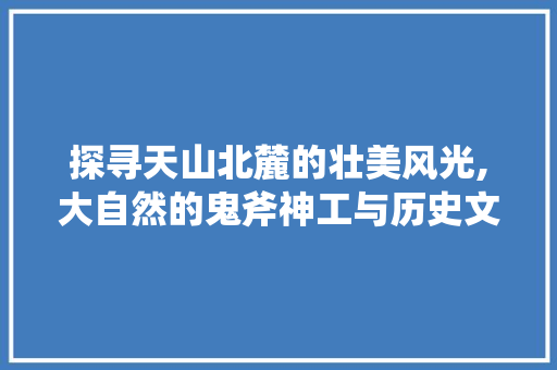 探寻天山北麓的壮美风光,大自然的鬼斧神工与历史文化的交融