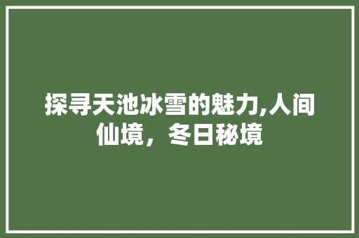 探寻天池冰雪的魅力,人间仙境，冬日秘境