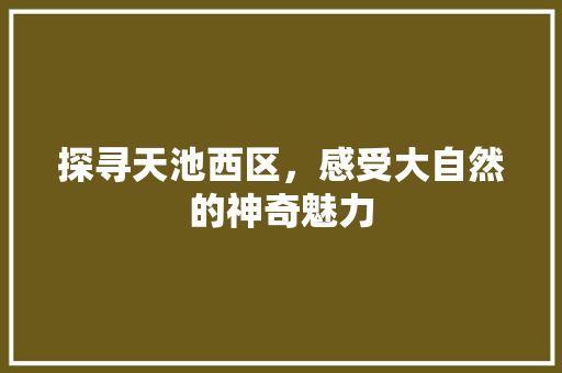 探寻天池西区，感受大自然的神奇魅力