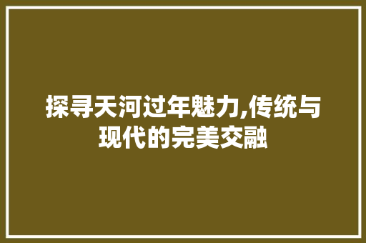 探寻天河过年魅力,传统与现代的完美交融