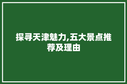 探寻天津魅力,五大景点推荐及理由