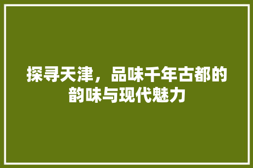 探寻天津，品味千年古都的韵味与现代魅力