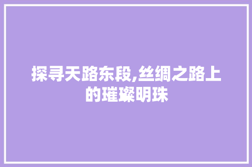 探寻天路东段,丝绸之路上的璀璨明珠