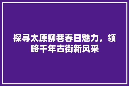 探寻太原柳巷春日魅力，领略千年古街新风采