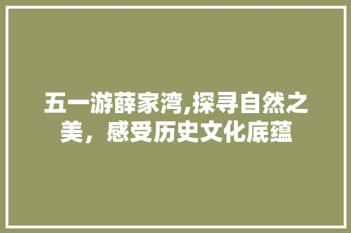 五一游薛家湾,探寻自然之美，感受历史文化底蕴  第1张