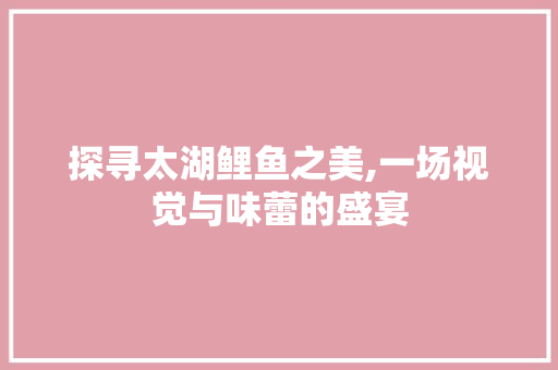 探寻太湖鲤鱼之美,一场视觉与味蕾的盛宴