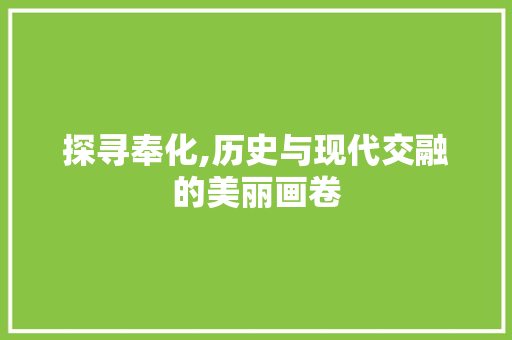 探寻奉化,历史与现代交融的美丽画卷