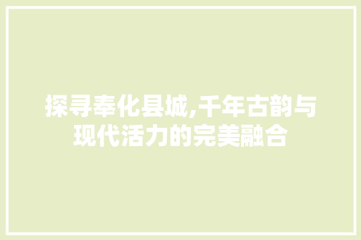 探寻奉化县城,千年古韵与现代活力的完美融合