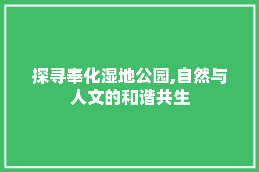 探寻奉化湿地公园,自然与人文的和谐共生