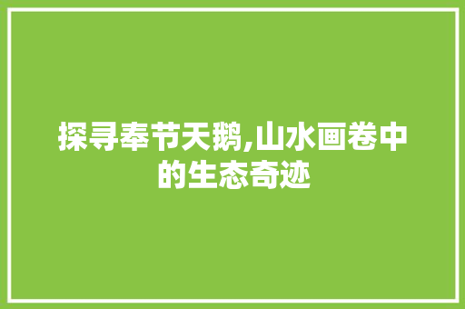 探寻奉节天鹅,山水画卷中的生态奇迹