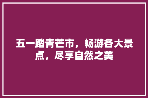 五一踏青芒市，畅游各大景点，尽享自然之美