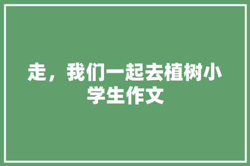 探寻奥兰魅力,历史与现代交融的梦幻之地